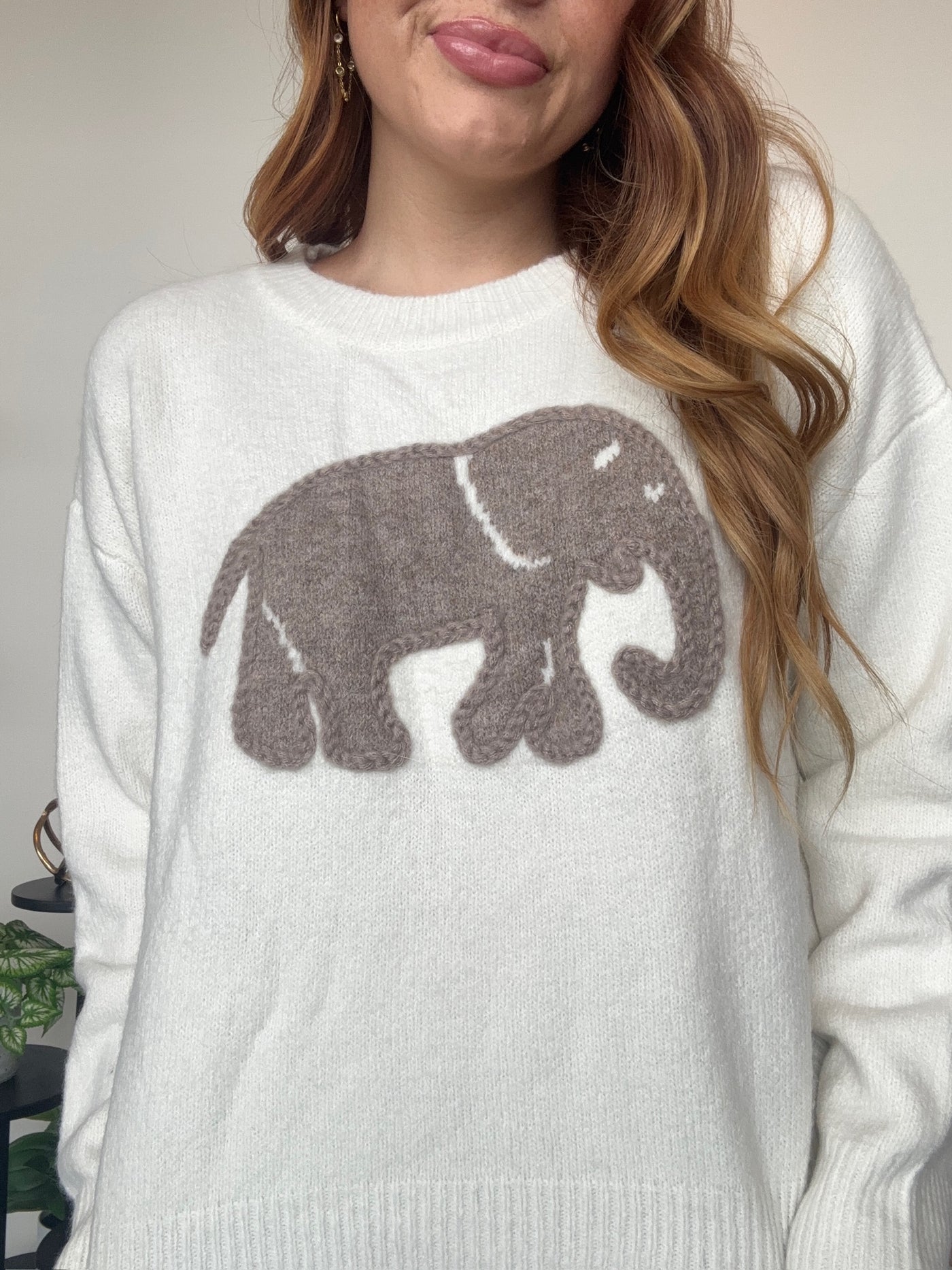 Elephant Textured Sweater-130 - TOPS - SWEATERS/SWEATSHIRTS-ADORA-[option4]-[option5]-[option6]-Leather & Lace Boutique Shop
