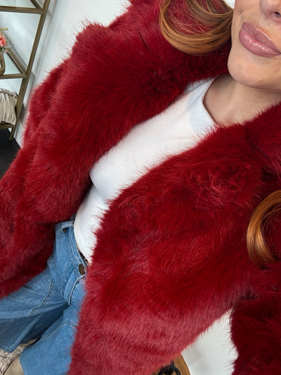 Luxe Faux Fur Coat
