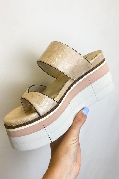 Naked Feet Flux Wedge Sandal - Rosette-180 - SHOES-NAKED FEET-[option4]-[option5]-[option6]-Leather & Lace Boutique Shop